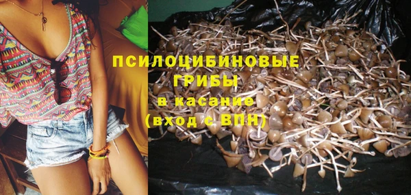 таблы Новозыбков