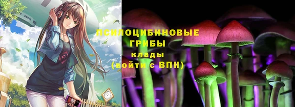 крисы Новокубанск