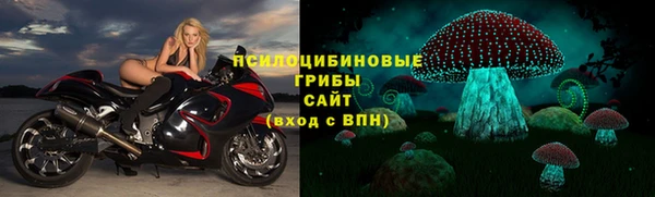 крисы Новокубанск