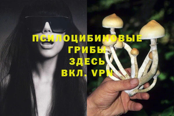 таблы Новозыбков