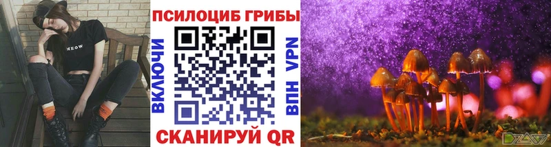 Галлюциногенные грибы прущие грибы  Купить где  Наволоки 